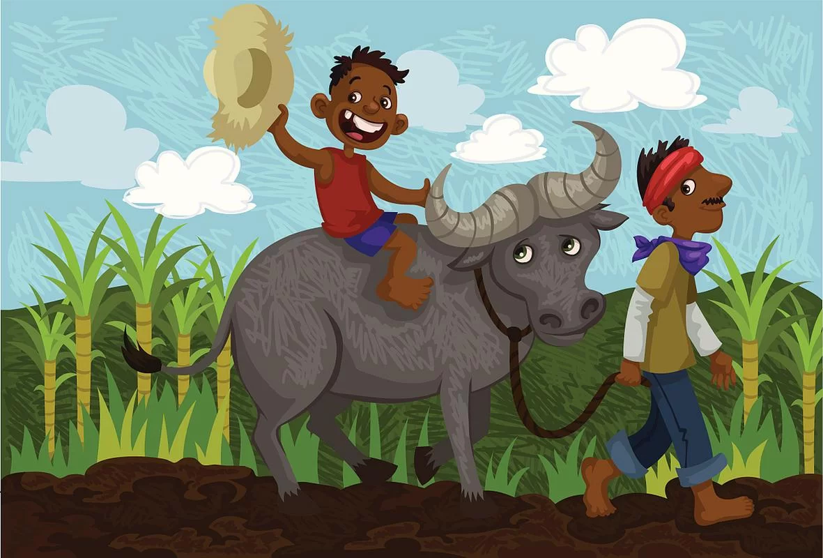 深入了解Bulld：它究竟代表着什么？