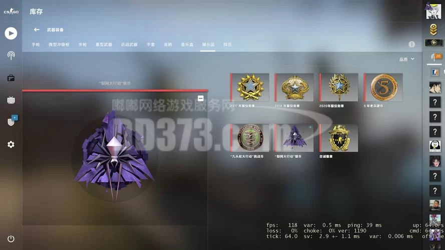 深入了解CSGO胸章：外观、作用及收藏价值