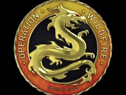 深入了解CSGO胸章：外观、作用及收藏价值