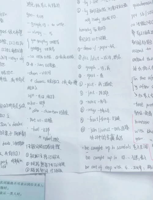 深入了解Frees:从词源到实际运用 深入了解Frees:从词源到实际运用