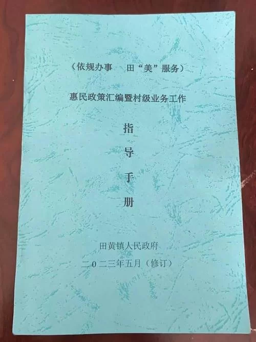 深入了解广西政务一体化：惠民政策解读