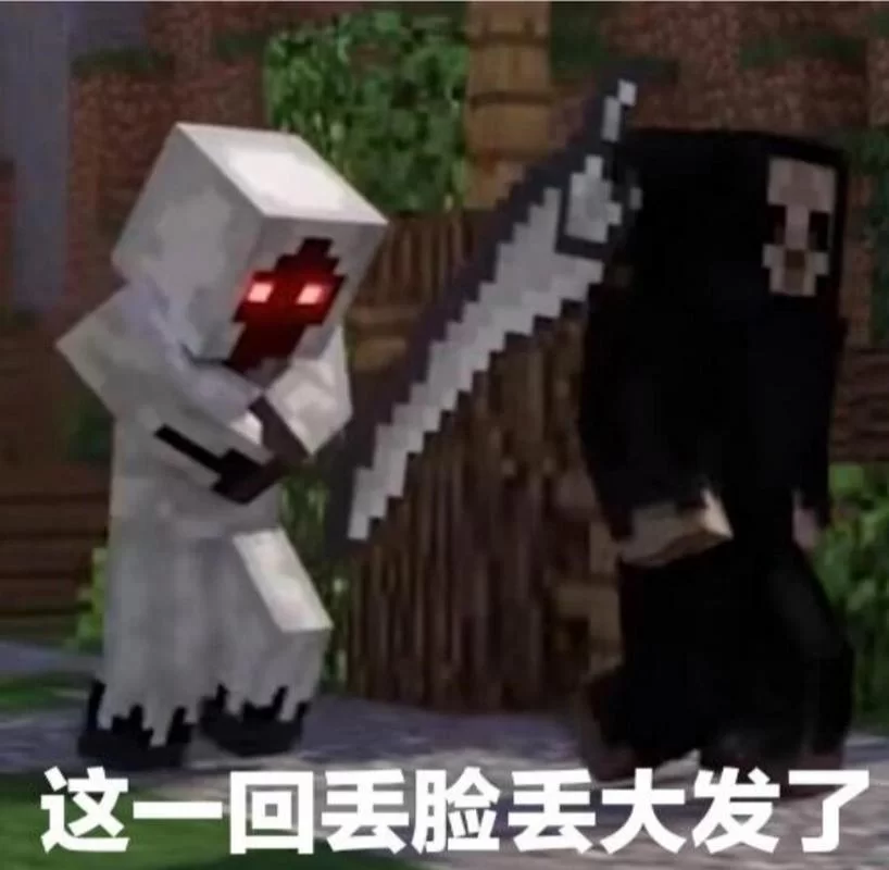 深入了解我的世界实体303的真相，你敢吗？