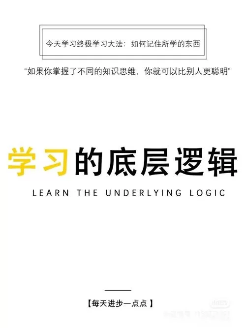 深入了解搬运小匠：从属性技能到进化之路的全面指南