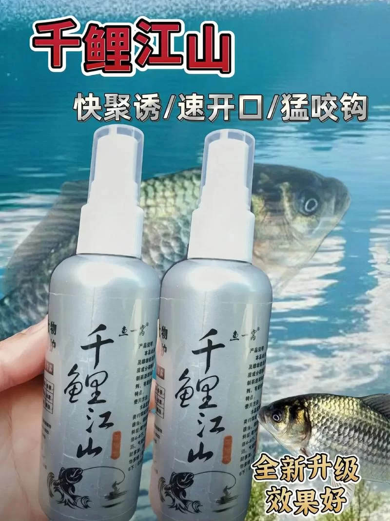 深入了解螺鲤123号：选择适合你的饵料，事半功倍！