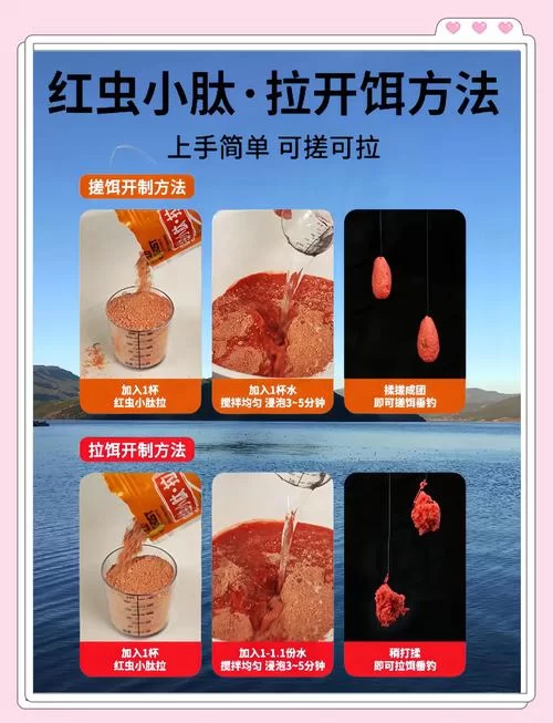 深入了解螺鲤123号：选择适合你的饵料，事半功倍！