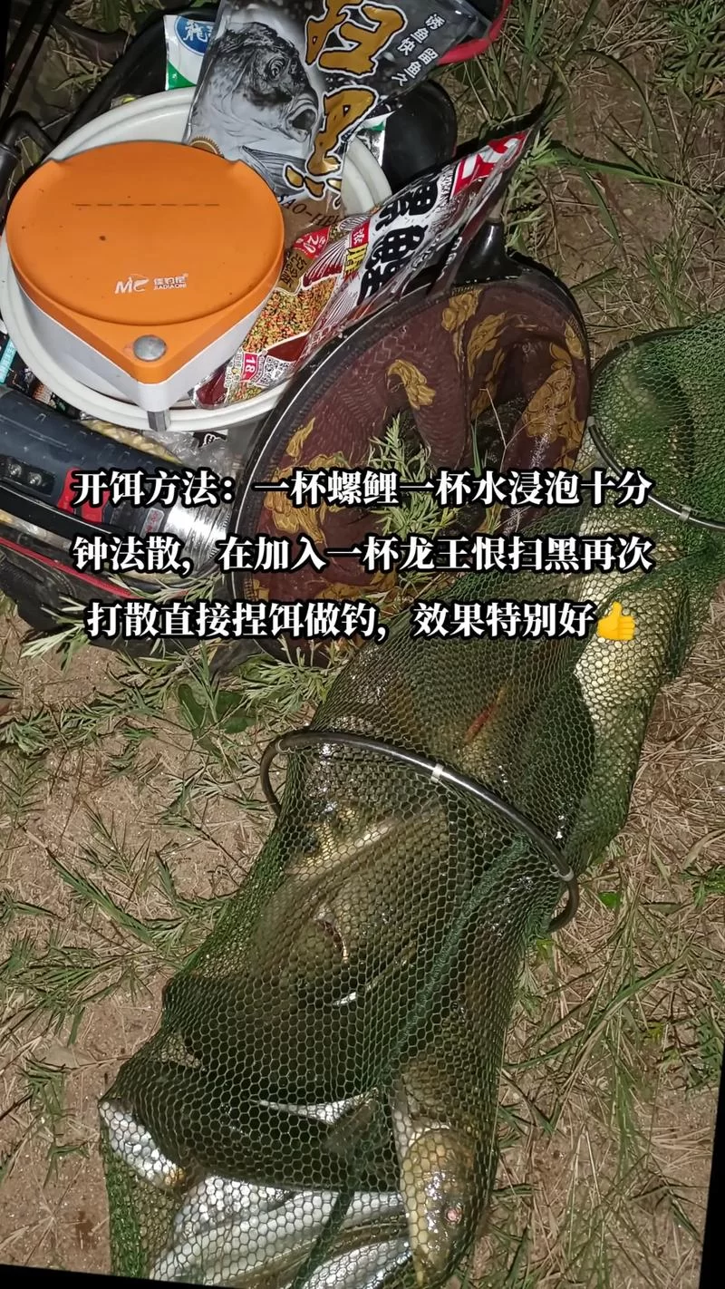 深入了解螺鲤123号：选择适合你的饵料，事半功倍！