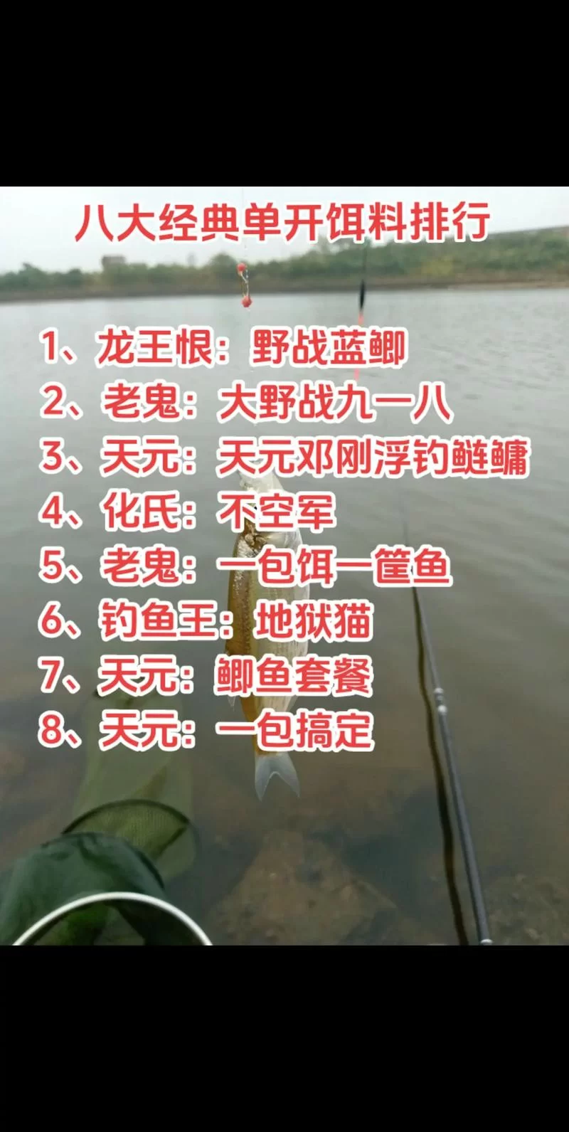 深入了解螺鲤123号：选择适合你的饵料，事半功倍！