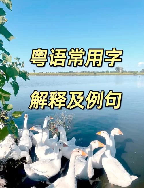 深入浅出讲解“局”字：涵盖各种含义及例句