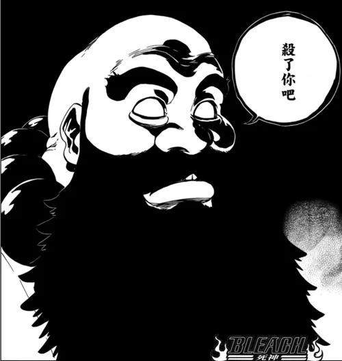 深入解析：BLEACH中的五大特记战力