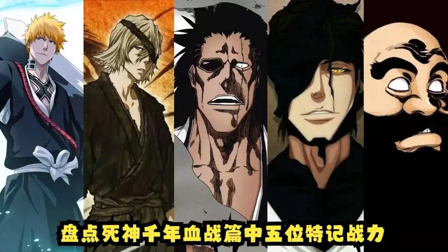 深入解析：BLEACH中的五大特记战力