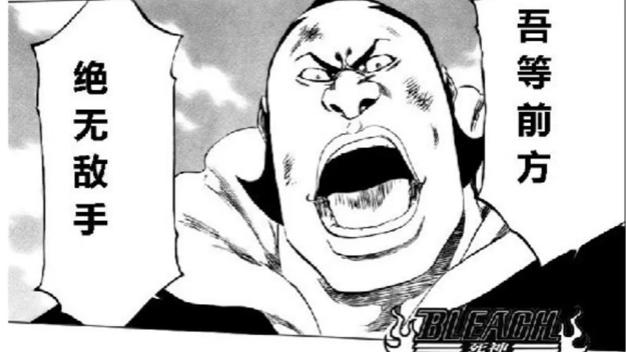深入解析：BLEACH中的五大特记战力