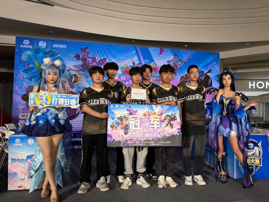 深度解析王者战队：战术策略与队员间的完美配合