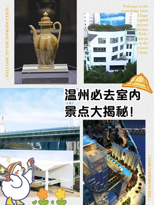 温州703804：揭秘这个神秘数字背后的故事