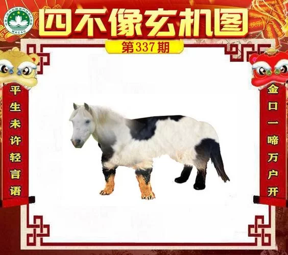 港澳图库大全：最快最全的图片资源，等你来搜！