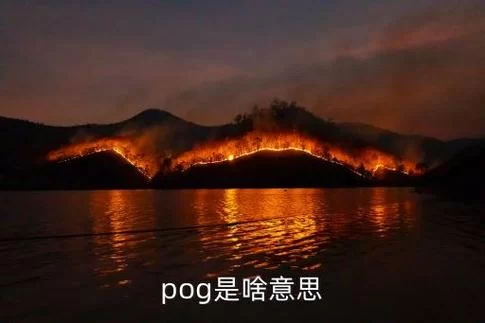 游戏玩家都在说的POG是什么意思？POG的多种释义