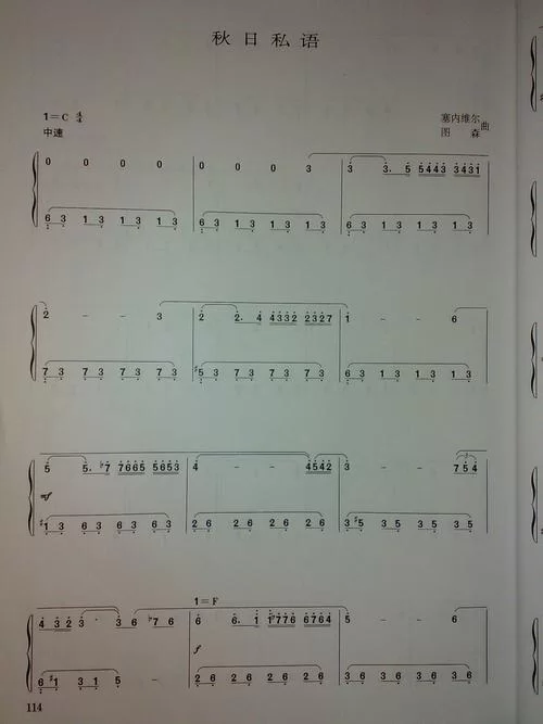 溯钢琴简谱：简单易学版，小白也能弹