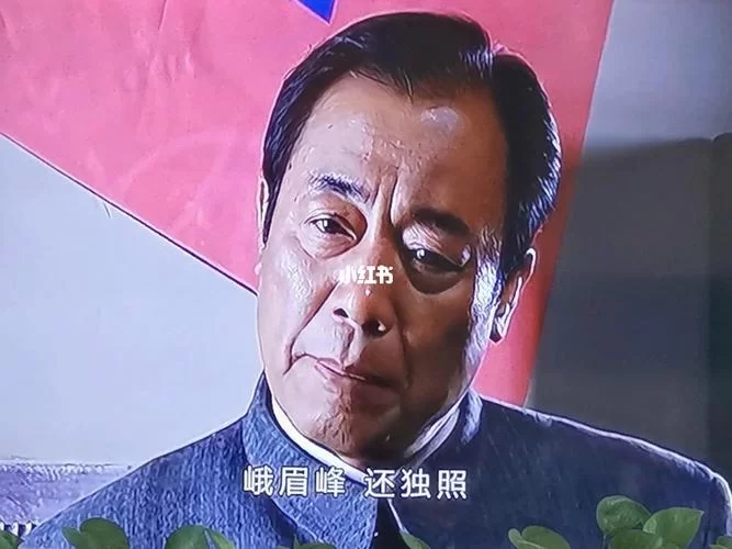 潜伏经典台词赏析：独照峨眉峰，细品其中深意