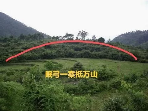 潜水艇任务难倒你？狐火酸浆和船艇牡蛎获取方法详解