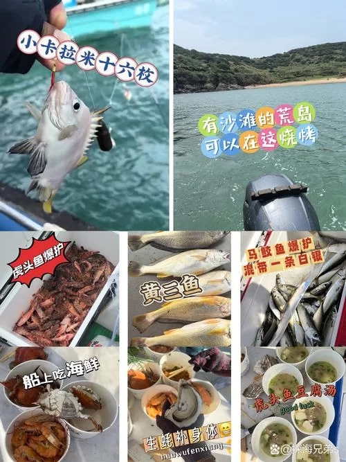 潜水艇任务难倒你？狐火酸浆和船艇牡蛎获取方法详解
