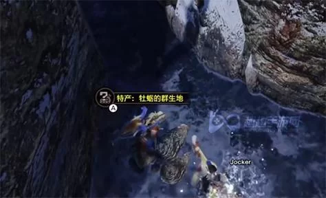 潜水艇任务难倒你？狐火酸浆和船艇牡蛎获取方法详解