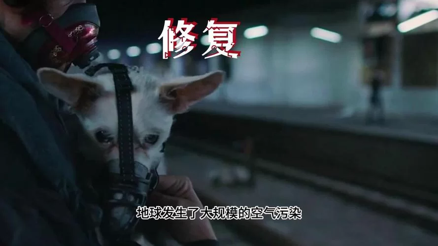 灾难性视频停止播放,避免造成二次伤害 灾难性视频停止播放,避免造成二次伤害