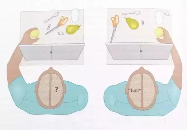 点人的哪个部位会让人瞬间不动？真相令人吃惊
