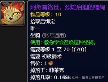 炽炎幼龙坐骑获取全解析：副本掉落技巧