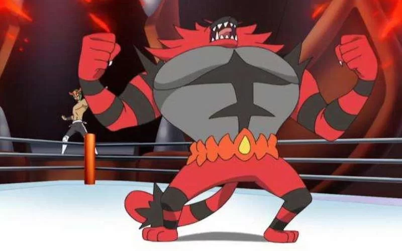 炽焰咆哮虎配招详解：单打双打实用攻略