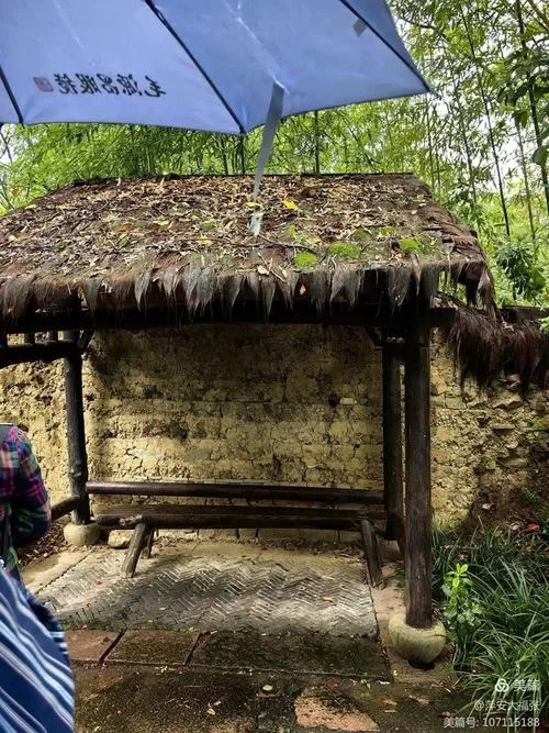 烟雨江湖五灵花获取攻略：教你轻松收集五灵花