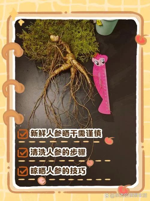 烟雨江湖人参获取技巧：快速获得人参的秘诀