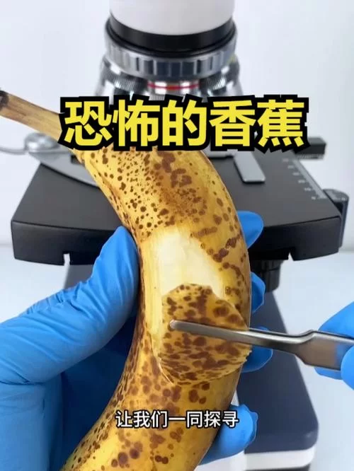 烟雨江湖探秘：香蕉的秘密与隐藏任务揭秘