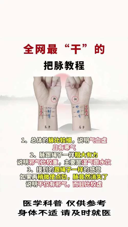 烟雨江湖洗脉：新手入门到高级洗脉技巧全攻略