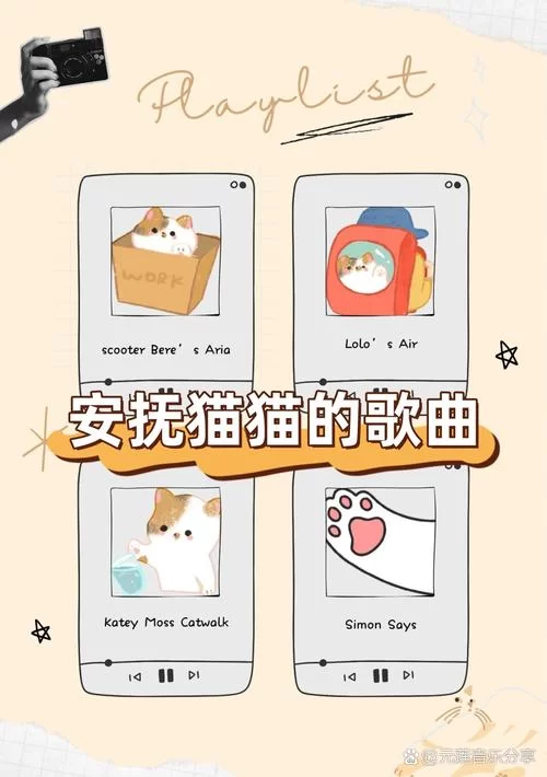 热门歌曲Sold Out：中文翻译和歌曲含义深度解析