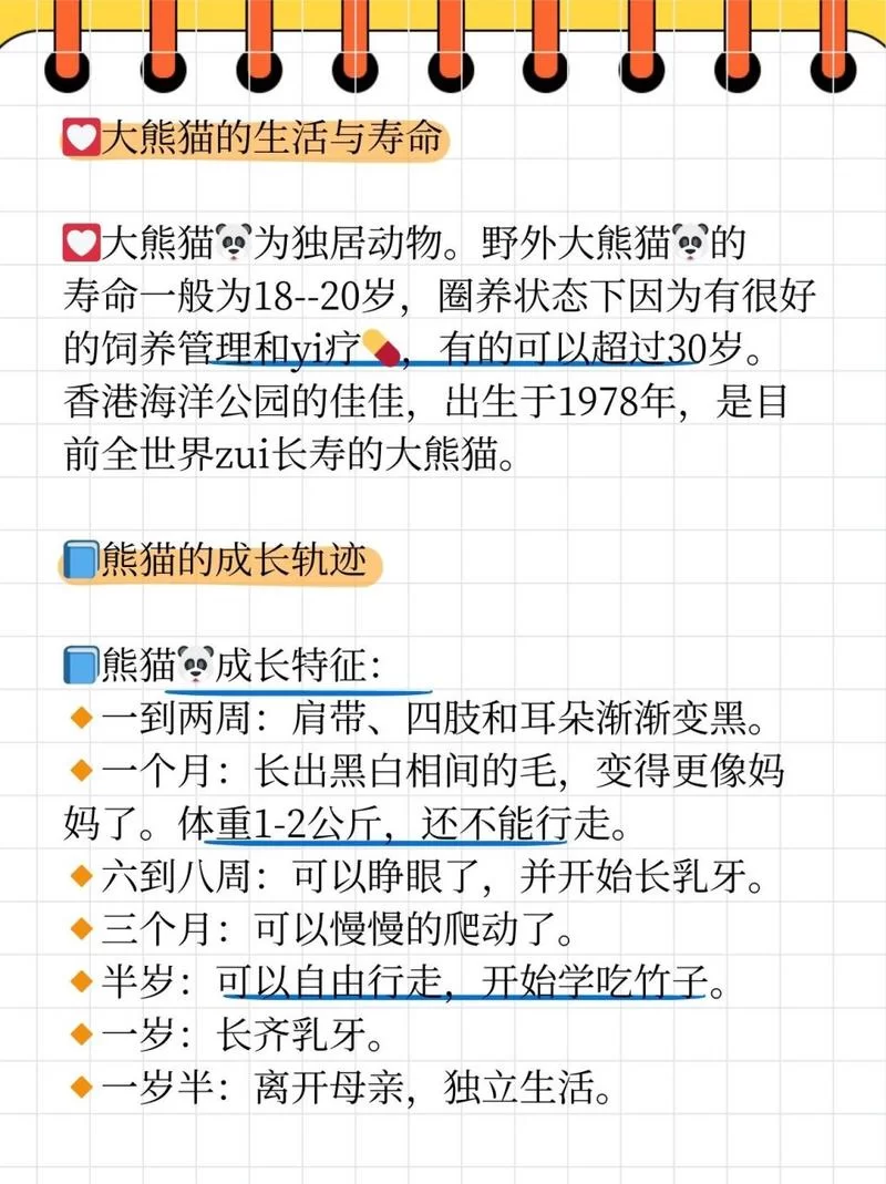 熊猫生活在哪里？一文带你了解熊猫栖息地！