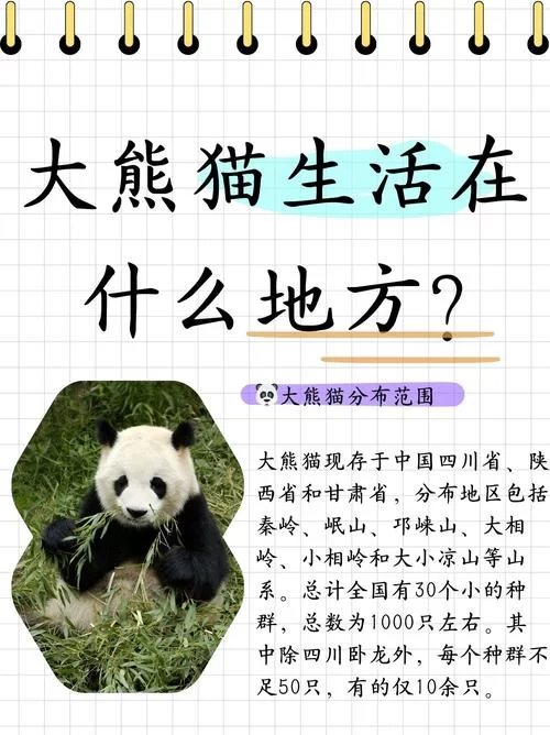 熊猫生活在哪里？一文带你了解熊猫栖息地！