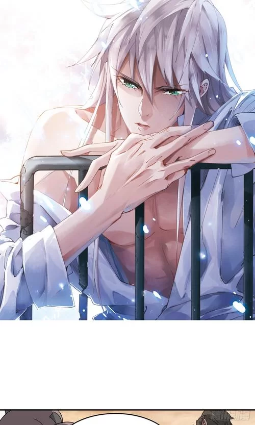 爆款动漫：近战法师的奇幻冒险故事