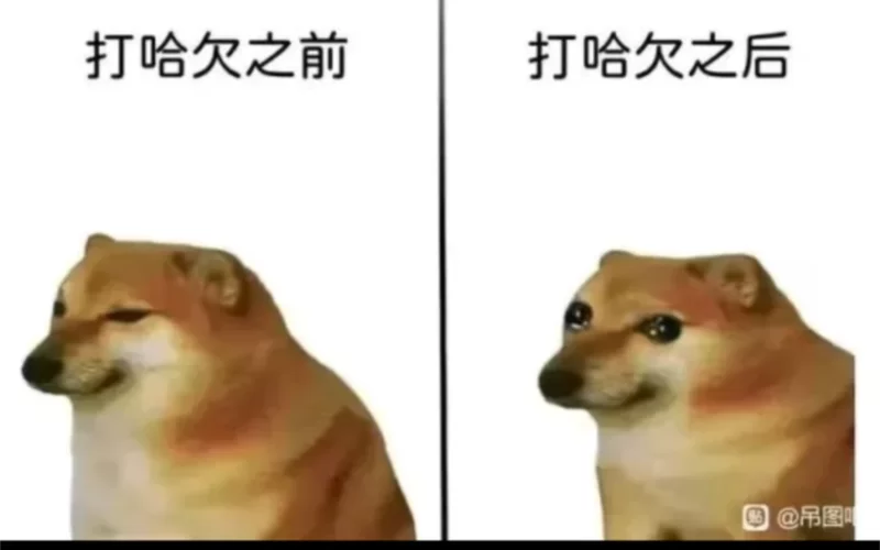 爆笑瞬间:沙雕搞笑图片集锦,看完心情超好! 爆笑瞬间:沙雕搞笑图片集锦,看完心情超好!