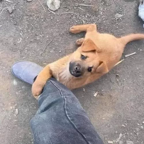 爆笑瞬间:沙雕搞笑图片集锦,看完心情超好! 爆笑瞬间:沙雕搞笑图片集锦,看完心情超好!