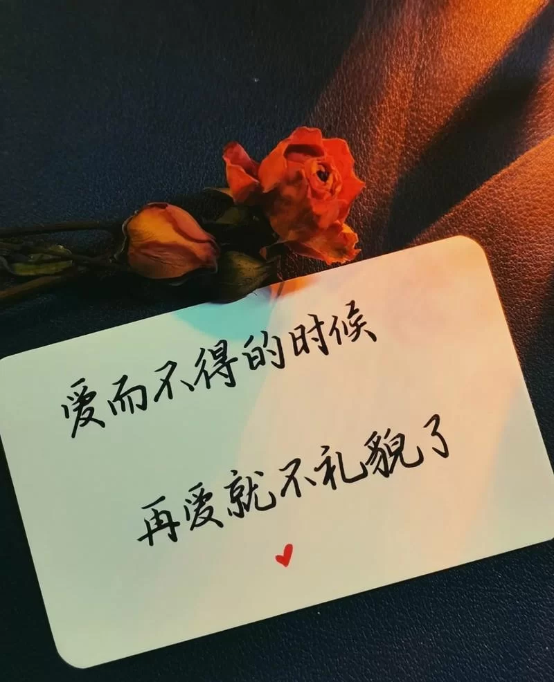 爱而不得，再爱就不礼貌了，放过彼此
