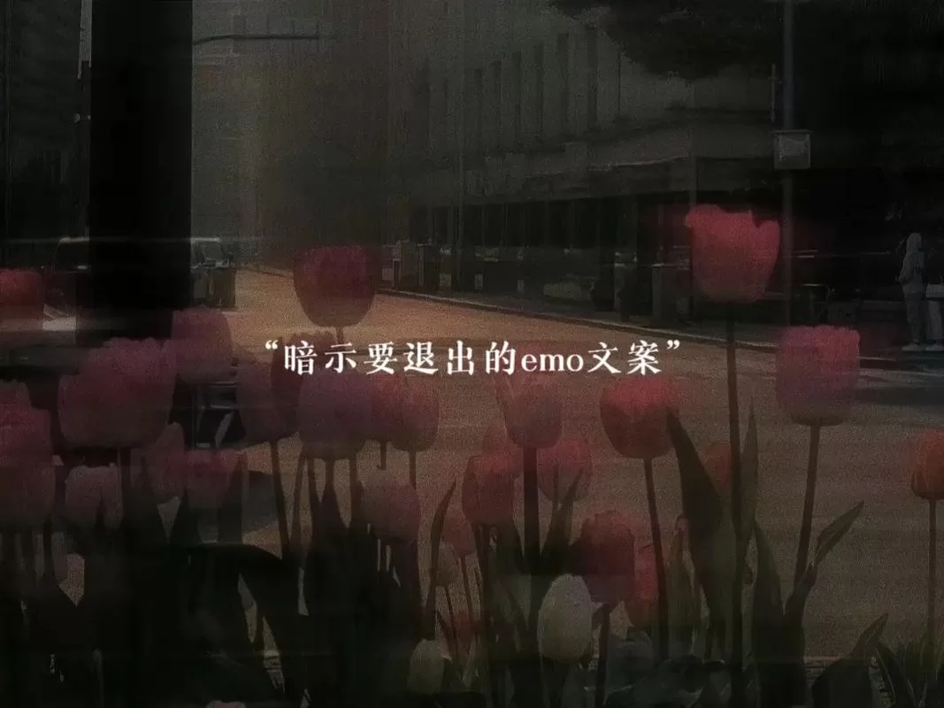 爱而不得,再爱就不礼貌了,放过彼此 爱而不得,再爱就不礼貌了,放过彼此