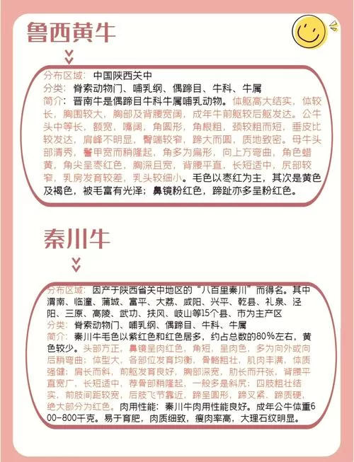 牛子什么意思？详解牛子词语含义及不同语境用法