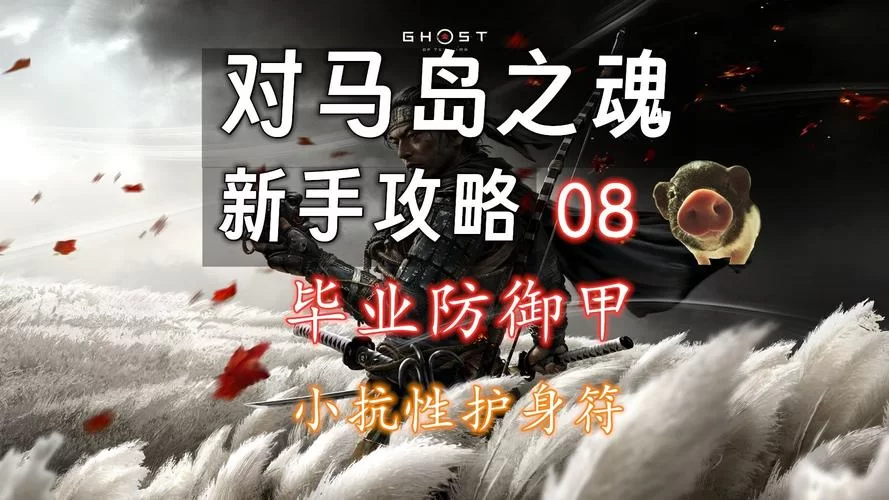 特效防御药剂：提升550护甲，持续一小时！