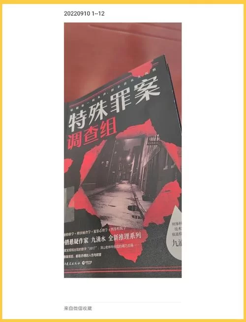 特殊案件专案组TEN2：悬疑烧脑，带你探秘棘手案件