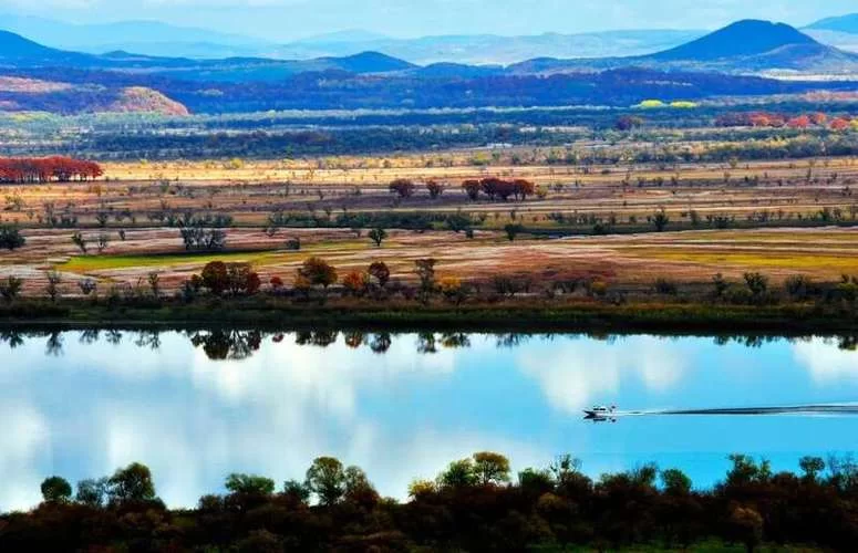 狍子图片高清下载：免费获取高清狍子图片，做你的电脑桌面壁纸