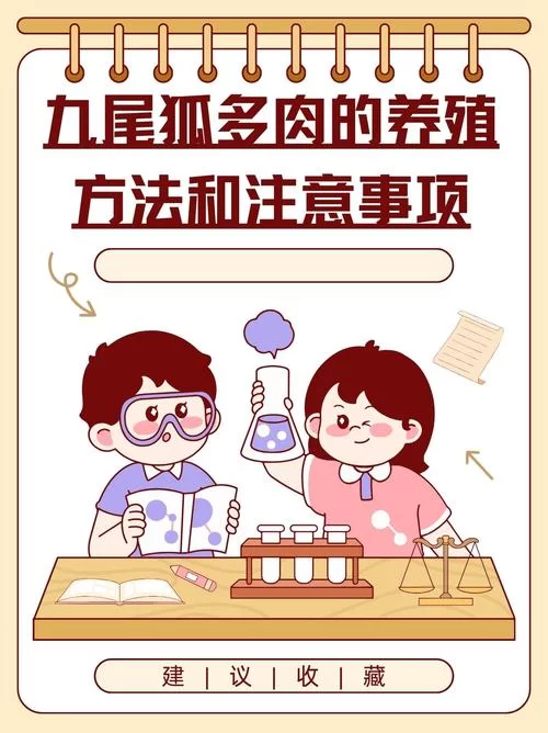 狐狸站不起来，这几个原因你都了解吗？