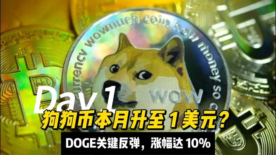 狗狗币交易所选择指南：避免陷阱，轻松赚取DOGE