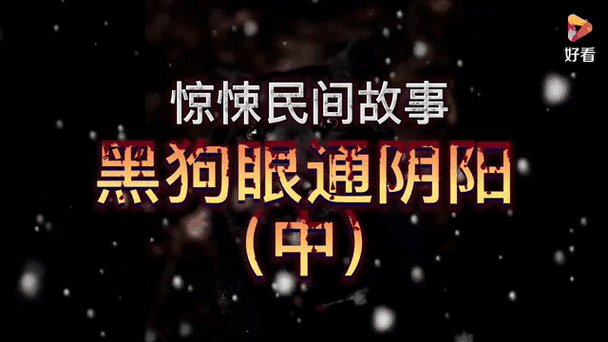 狗眼看阴阳：揭秘奇异事件背后的真相