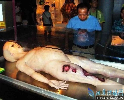 狗眼看阴阳：揭秘奇异事件背后的真相