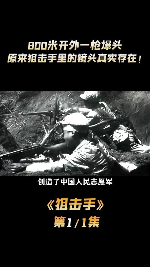 狙击手豆瓣评价分析：真实残酷的战争与英雄的缩影