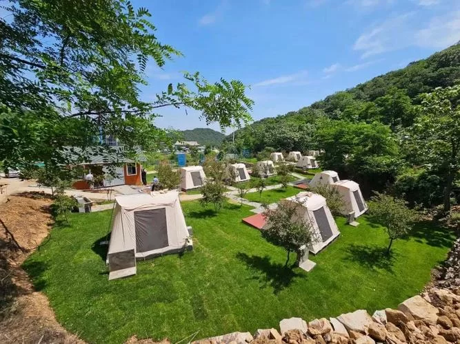 狩猎之森详解：两种地图类型，不同玩法等你体验